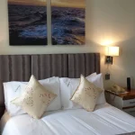 Dolphin Hotel - Double Room